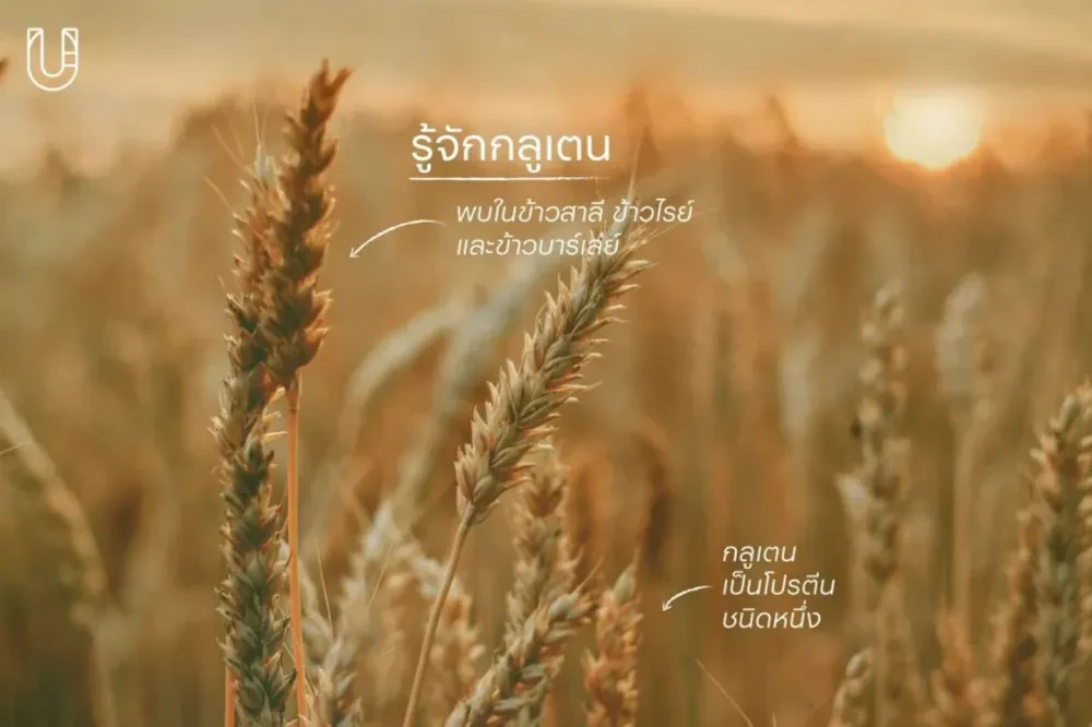 เมื่อโลกยก Gluten Free เป็นเทรนด์สุขภาพแบบใหม่ในทศวรรษนี้